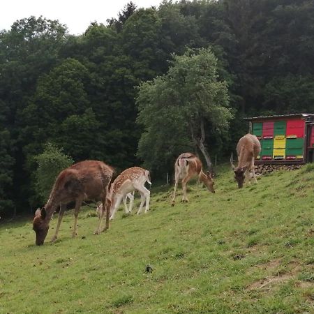 Jelenov Breg Pod Matajurem Villa Kobarid Buitenkant foto