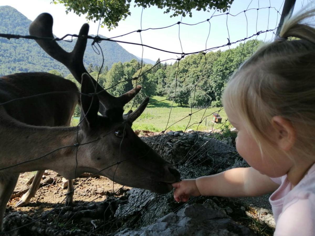 Jelenov Breg Pod Matajurem Villa Kobarid Buitenkant foto